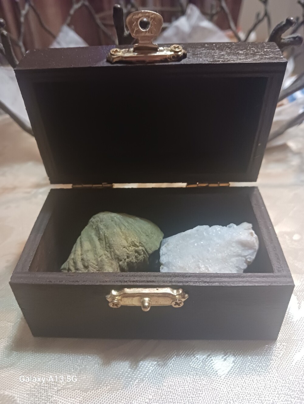 FOSSIL BOX - Picture 4 of 4